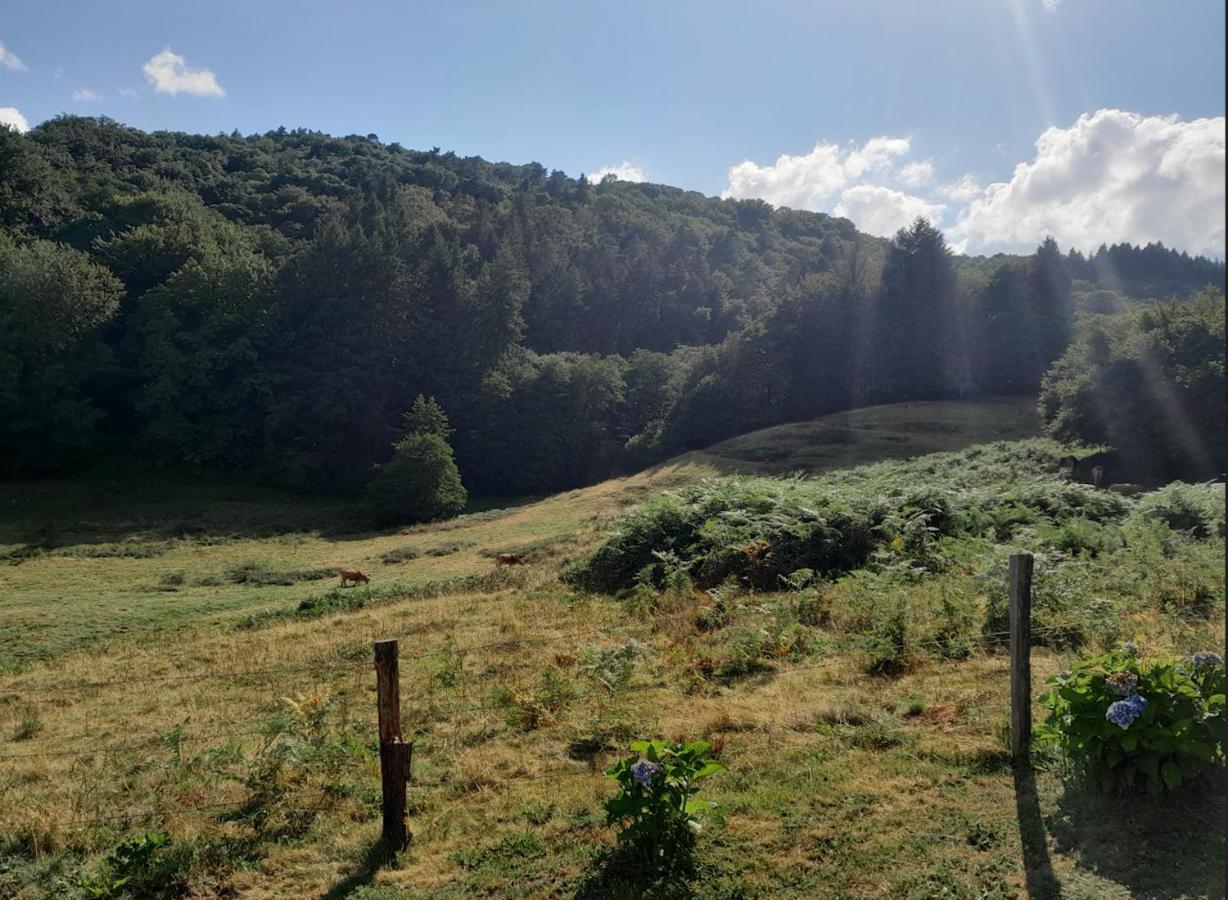Chalet Charmant A Saint-Sylvestre Avec Terrasse Et Jardin Ambazac 외부 사진